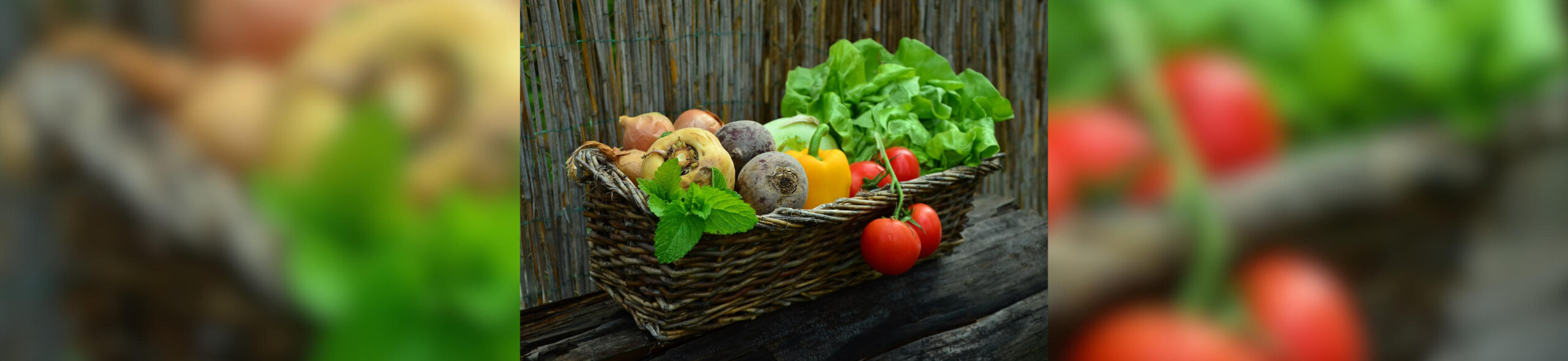 Ein kritischer Blick auf Ernährungsstrategien, Tierwohl-Siegel und die Realität